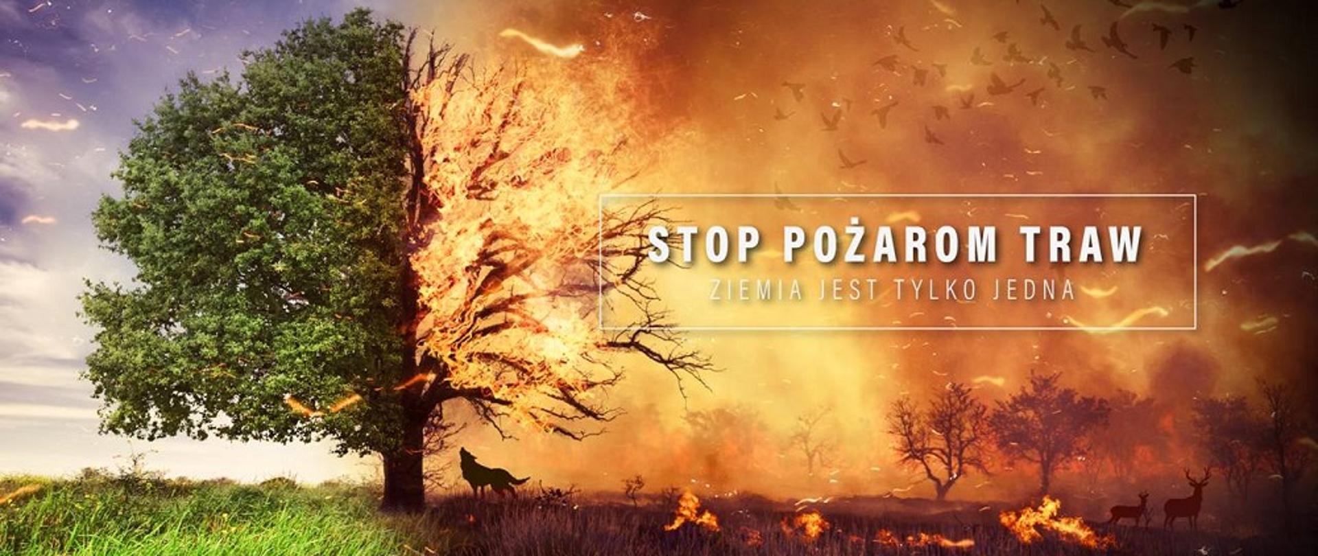 Zakaz Wypalania Traw